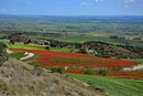 Bellmunt-Almenara