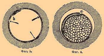 Brockhaus and Efron Encyclopedic Dictionary b45_043-3.jpg