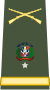 Brigadier