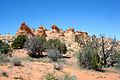 Cottonwood Teepees