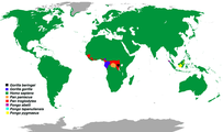 Mapa cu ta e distribucion global di e simio grandi, incluyendo hende.