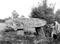 Image illustrative de l’article Dolmen des Gorces