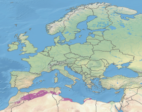 Экорегион (выделен фиолетовым) на карте