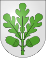 Zweig mit Blättern und Eicheln im Wappen von Eichberg SG, Schweiz