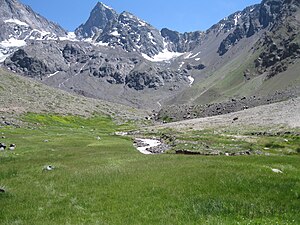 Pelouse alpine au monument naturel El Morado, 2011