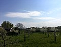 Zicht op Enspijk tijdens de lente