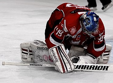 Torwart-Eishockeyschläger