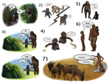 An illustration of the "from where to what" model of language evolution From where to what.png