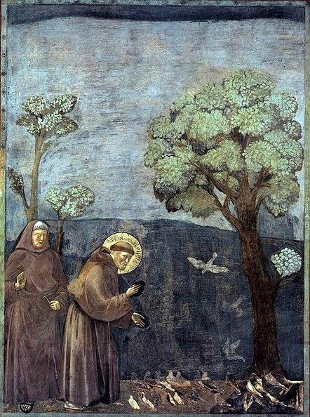 Giotto (?), scena z cyklu św. Franciszka: Kazanie do ptaków