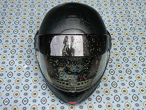 Roadkill on a helmet