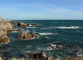 Vue d'une côte rocheuse sur la mer, avec des rochers émergents.