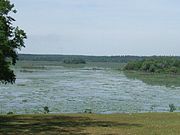 View of Lake Iamonia