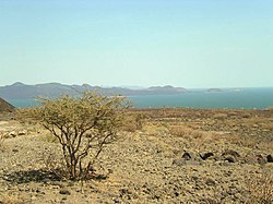 Lac Turkana qu'ei ua amassada de tres pargues nacionals kenyans dab fossils d'ominids