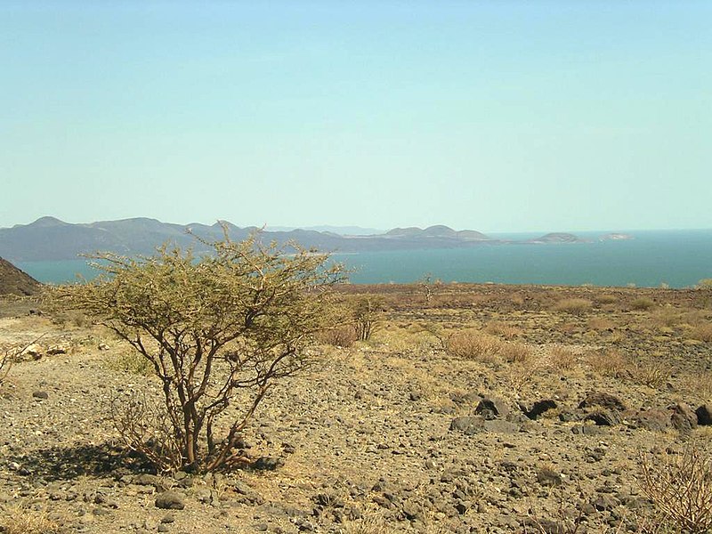 Lake Turkana. Credit: Wikimedia.org