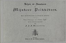 Mijnheer Prikkebeen