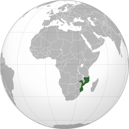 550px Mozambique %28orthographic projection%29.svg 新種コウモリ発見。チューバッカコウモリ！