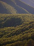 Utsikt från Boč (978 m) över lövskogsmattan i mellersta delen av Štajerska (slovenska Steiermark).