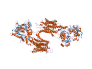 2agv: Crystal structure of the SR CA2+-ATPASE with BHQ and TG