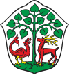 ブラニェヴォの紋章
