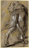 彼得·保羅·魯本斯 - 母獅素描, 1614-1615年。