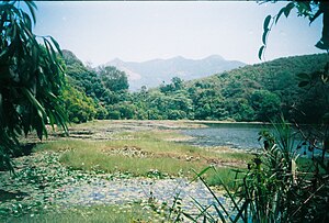 English: Pookkottu lake in Wayanad (summer time)