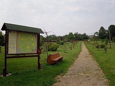 Park im. Jana Pawła II