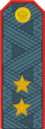 Генерал-лейтенант полиции России.png