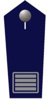 Brandamtsrat/-rätin