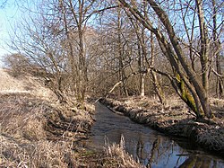 Slubice nad ústím do Chrudimky