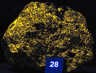 Sphalerite fluorescing under ultra violet light. Sternberg Museum of Natural History, Kansas, USA