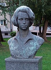 Spomenik Vahidi Maglajlić