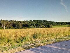 La vallée en direction de Néron.