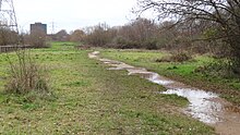 Wandle Meadow Nature Park 3.JPG