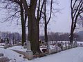 cmentarz wojenny nr 309 z I wojny światowej