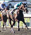 Zenyatta2009LadySecret.jpg