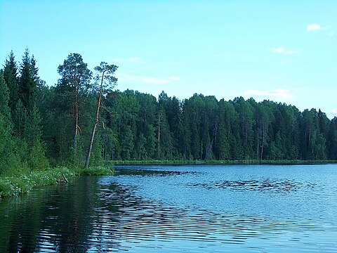 Гардозеро в п. Токари