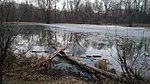 Левобережная пойма реки Сетунь с водоемами ниже МКАД (Левобережная пойма реки Сетуни с водоемами ниже МКАД)