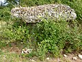 Dolmen des Pierres Closes de Charras