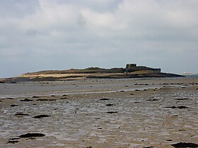 L'île Cézon vue de l'île Enez Vihan à marée basse.