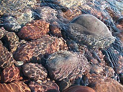 Rocks on Agate Beach