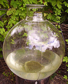 Colour photograph of a biosphere inside the Museum of Welsh Life at Cardiff in Wales UK