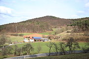 Bild 2: Ansicht des Burgstalls Wartberg aus westlicher Richtung (April 2010)