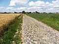 Ende des Sektor Pavé de Camphin-en-Pévèle