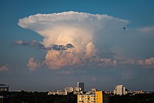 Cumuionimbus INCUS clouds over Poland. The aim of EVM-3 INCUS is to investigate the formation of these clouds and thunderstorms often associated. Cumulonimbus incus over Warsaw, Poland.jpg