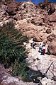 Ein Gedi