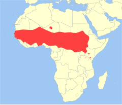 Erythrocebus patas distribution.svg