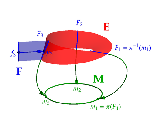 Obr. 1: Möbiova páska coby fibrovaný prostor. Möbiova páska samotná představuje totální prostor E. Bázovou varietou M je kružnice a typickým vláknem F je úsečka. Explicitně jsou vyobrazeny tři body na kružnici a jim odpovídající vlákna na Möbiově pásce. Bod '"`UNIQ--postMath-00000086-QINU`"' na pásce je parametrizován jednak svou projekcí '"`UNIQ--postMath-00000087-QINU`"', jednak prvkem vlákna '"`UNIQ--postMath-00000088-QINU`"'.