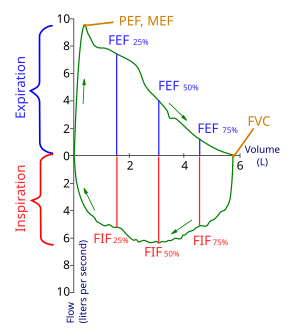 Flow-volume-loop.svg