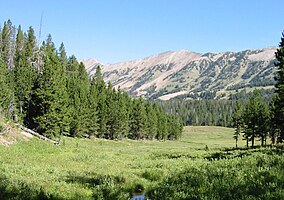 Gallatin National Forest.jpg