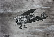 Artist's impression of the Gloster Gladiator flown by Bermudian Flying Officer Herman Francis Grant "Baba" Ede, DFC on the 24th May, 1940, during the Battle of Norway Gloster Gladiator of Bermudian Flying Officer Herman Francis Grant Ede DFC.jpg